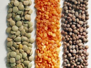 types of lentils