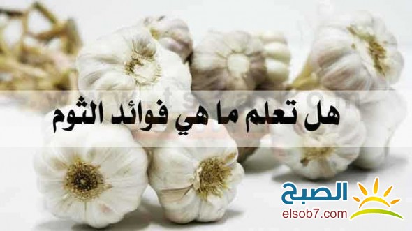 تعرف على فوائد تناول فص واحد من الثوم يوميا وما يفعله بجسم الأنسان