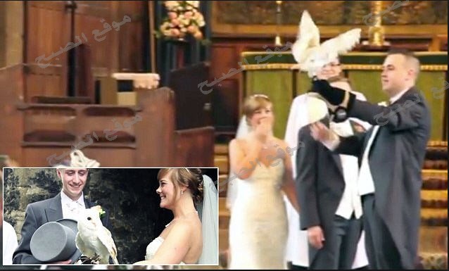 بالفيديو بومه تسرق خاتم الزفاف من عروسه وتحاول الهرب به يوم زفافها