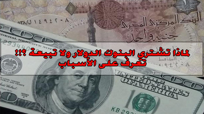 لماذا تشتري البنوك الدولار ولا تبيعه ؟! تعرف على الأسباب الآن