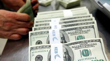dollar live
