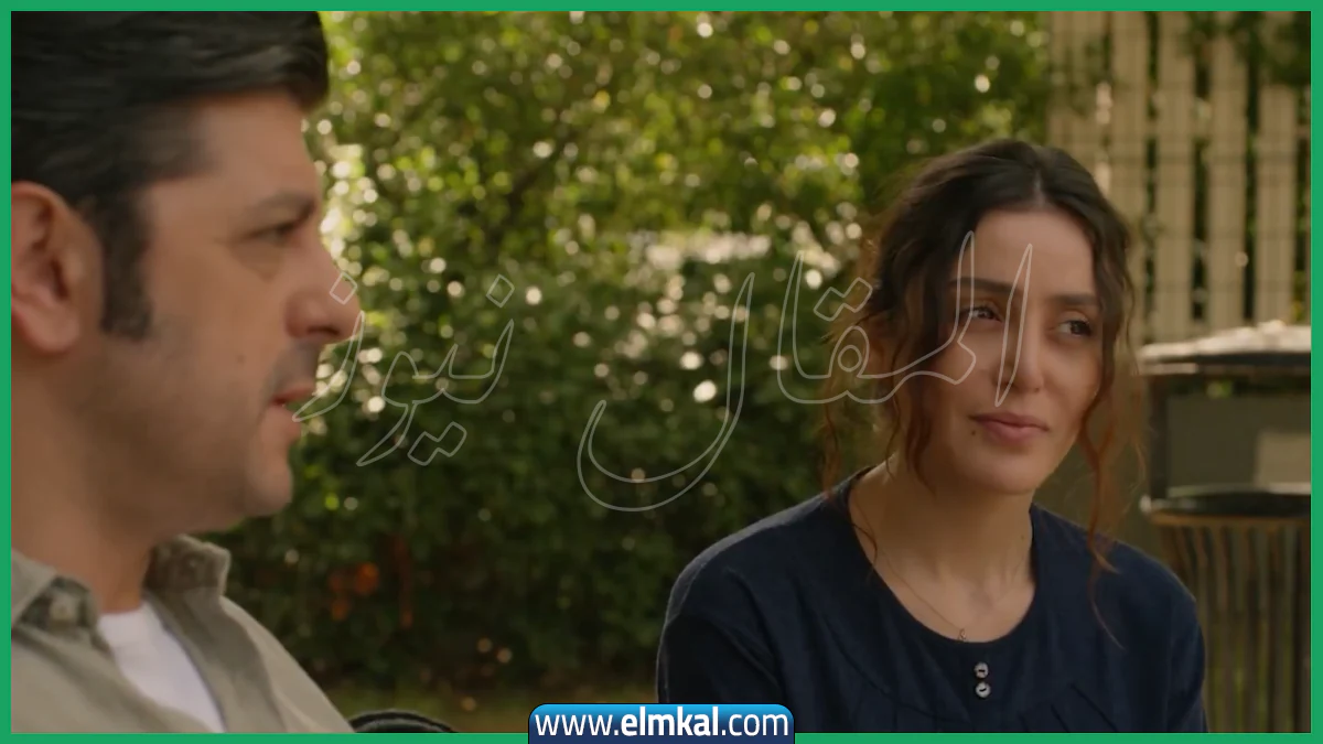 قنوات عرض