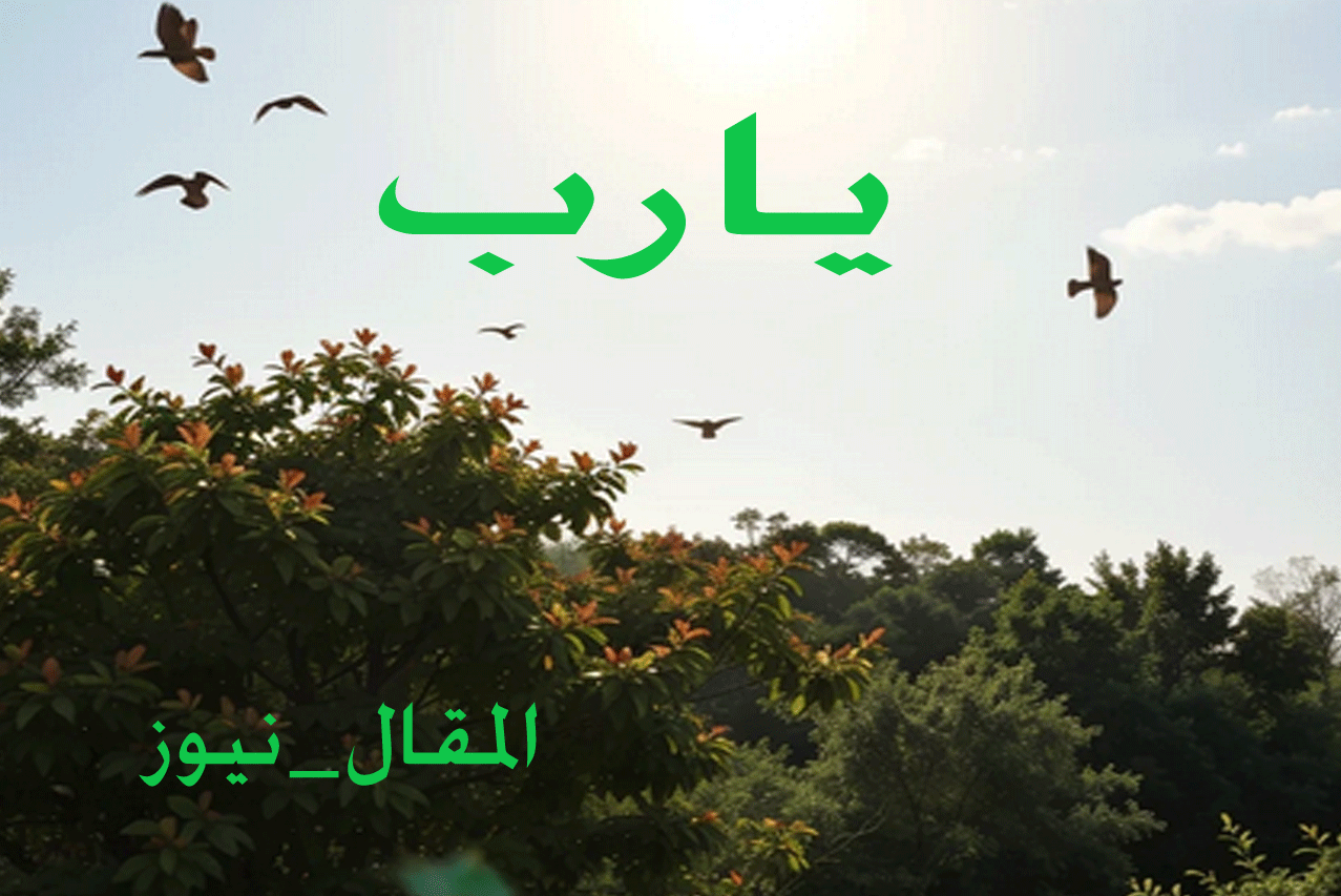 دعاء الصباح .. يا رب العالمين أمين