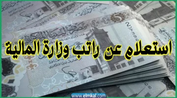 استعلام عن راتب وزارة المالية ليبيا