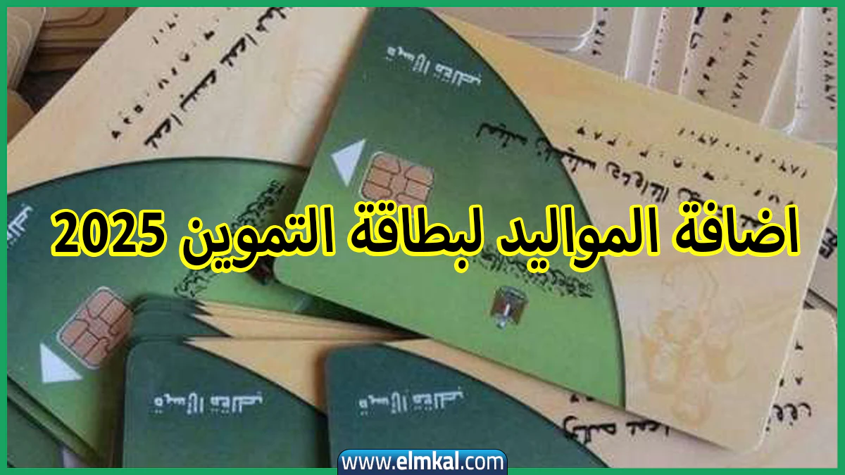 لأهالي بورسعيد.. رابط بوابة مصر الرقمية لاضافة المواليد لبطاقة التموين 2025