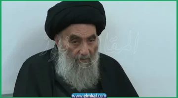 السيد علي السيستاني