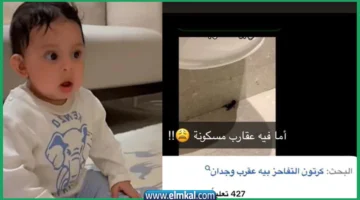 الطفل عساف والعقرب القرين