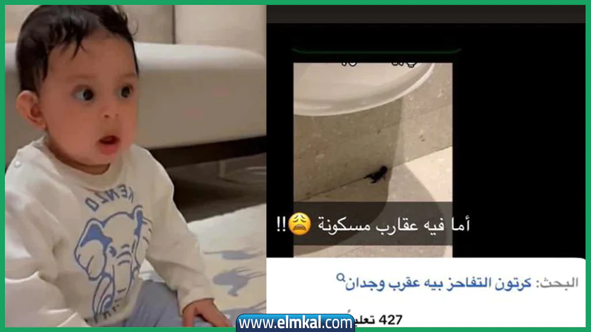 مصادفة أم نبوءة؟ تغريدة عن العقرب القرين قُتل قبل أيام من غرق الطفل عساف تربك متابعي السوشيال ميديا