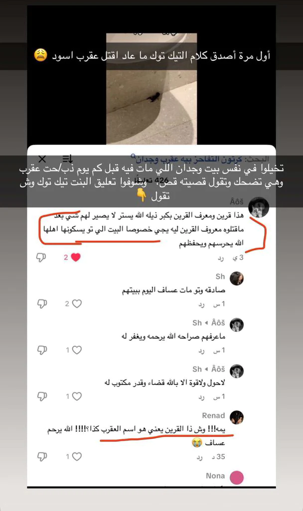 مصادفة أم نبوءة؟ تغريدة عن العقرب القرين قُتل قبل أيام من غرق الطفل عساف تربك متابعي السوشيال ميديا 13 العقرب القرين