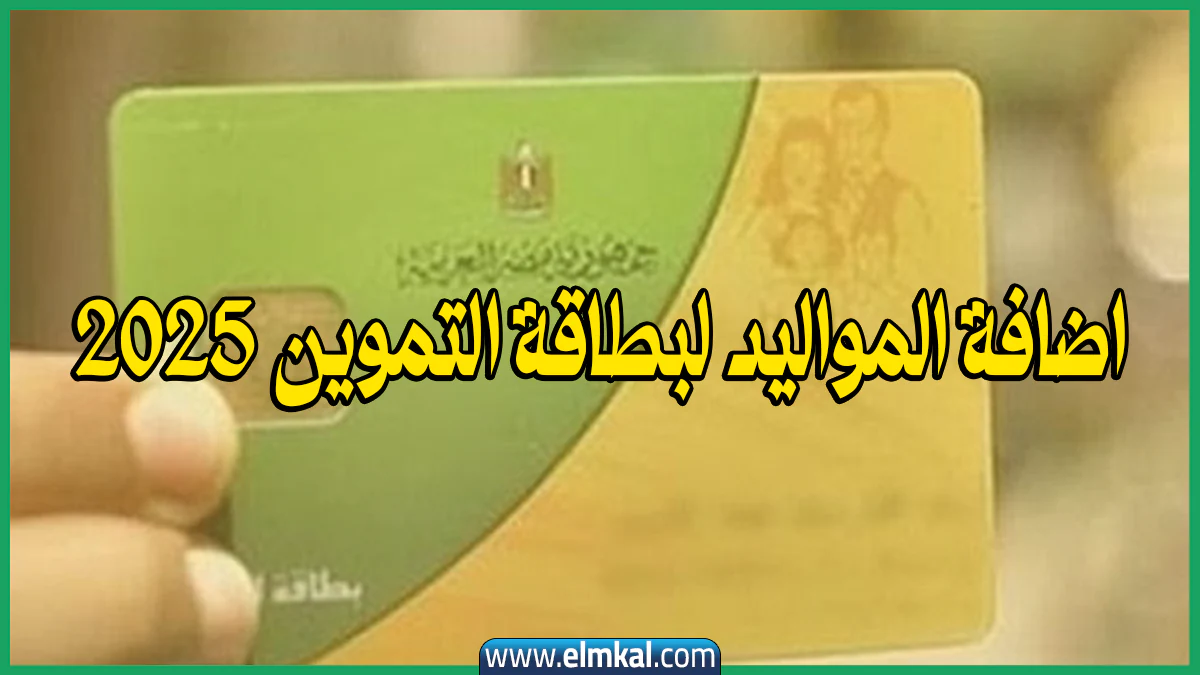 تحيا مصر.. موقع اضافة المواليد لبطاقة التموين 2025 https: digital gov eg