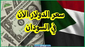 سعر الدولار مقابل الجنيه السوداني اليوم