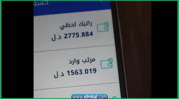 منظومة راتبك لحظي 2025