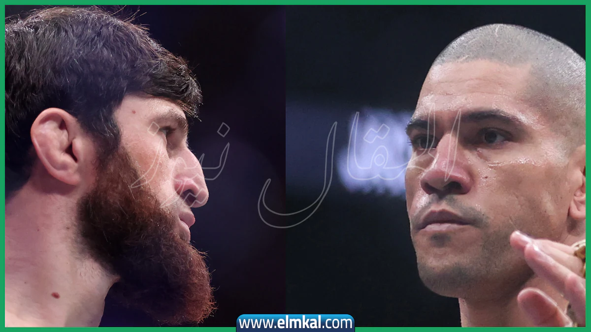 نزال أليكس بيريرا ضد محمد أنكالايف مباراة ufc: الموعد والقنوات الناقلة والبث المباشر 6 نزال أليكس بيريرا ضد ماغوميد أنكالايف مباراة ufc اليوم