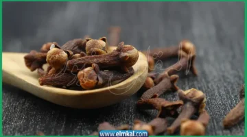 القرنفل
