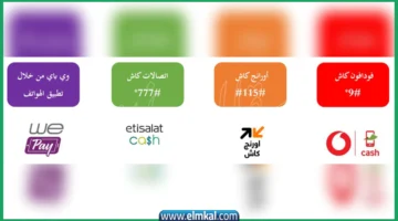 المحافظ الإلكترونية