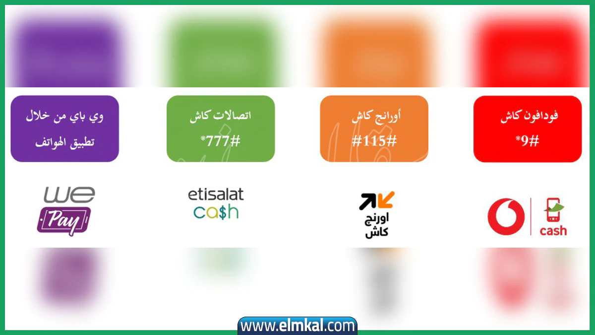 توقف مؤقت لخدمات المحافظ الإلكترونية في مصر بسبب التحديثات الرقمية والتوقيت الشتوي
