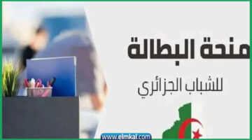 تجديد منحة البطالة كل 6 أشهر 2025 من الهاتف