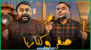 صقر وكناريا