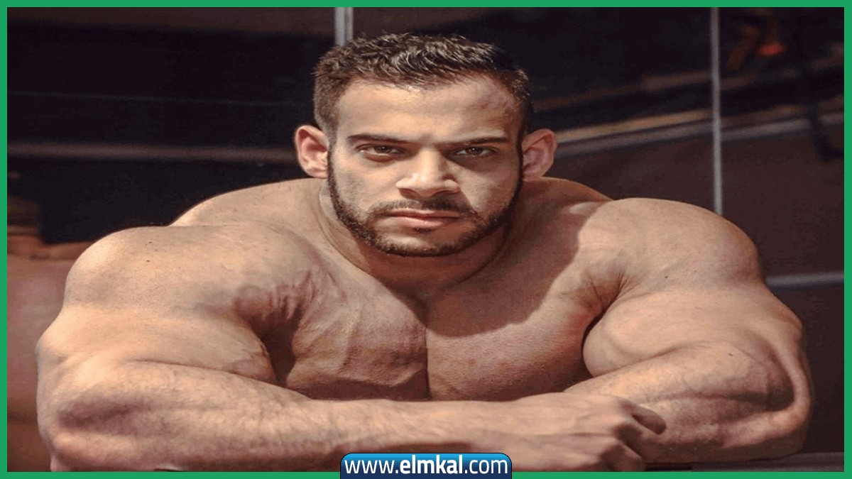 محمود الدرة ويكيبيديا