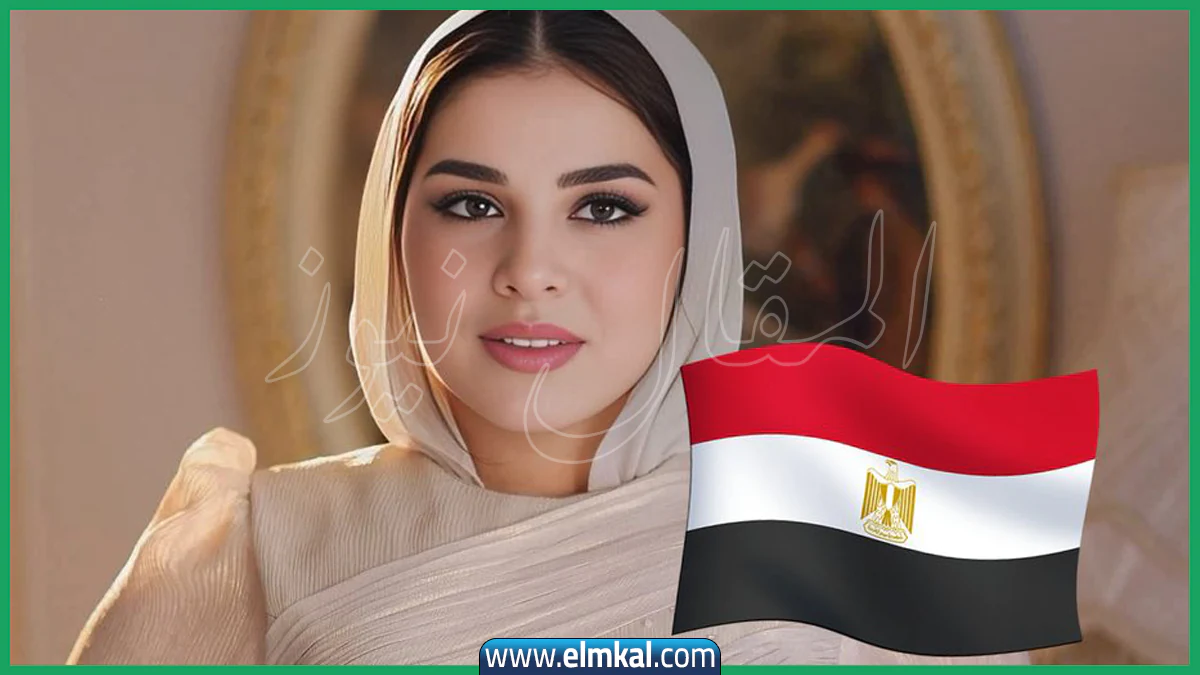 آية السيسي وزوجها وأولادها ويكيبيديا