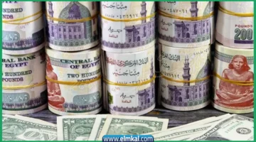 الجنيه المصري والدولار