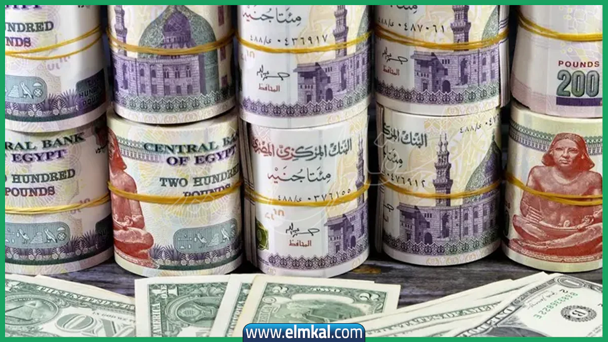 قفزة جديدة للدولار مقابل الجنيه المصري 2 الجنيه المصري والدولار
