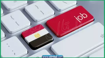 الوظائف في مصر صورة تعبيرية من آيستوك