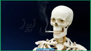 تجدد الخلايا وإبطاء الشيخوخة
