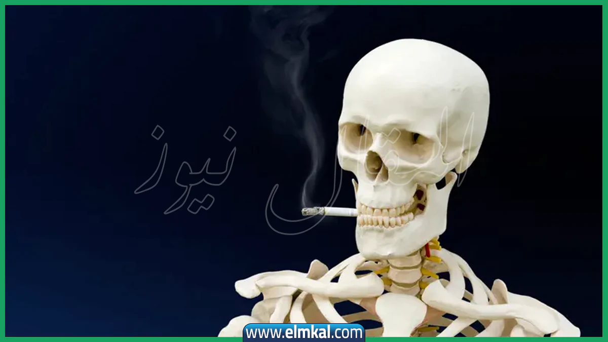 نصائح مهمة لتأخير سن الشيخوخة