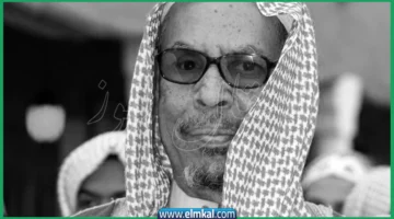 علي المدفع