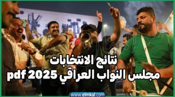 نتائج الانتخابات مجلس النواب العراقي 2025 pdf