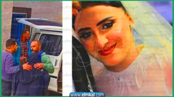 عروس المنوفية