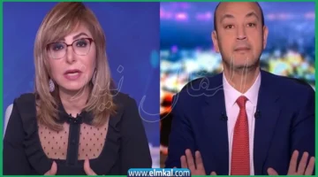عمرو اديب ولميس