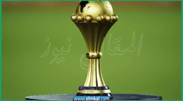 كأس أمم أفريقيا