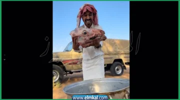 ليش راس الحاشي ما يطبخ مثل راس الخروف