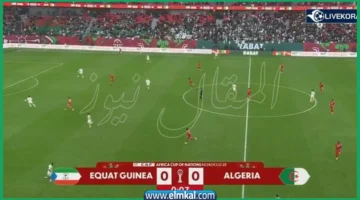 مشاهدة مباراة الجزائر ضد غينيا الاستوائية اليوم لايف ياسين tv مباشر
