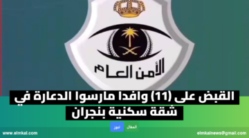 elmkal news 1771255365875