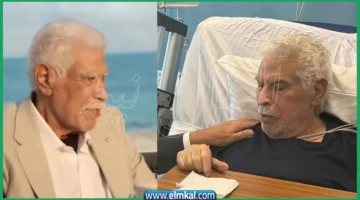 hassan shehata