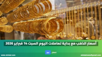 أسعار الذهب مع بداية تعاملات اليوم السبت 14 فبراير 2026