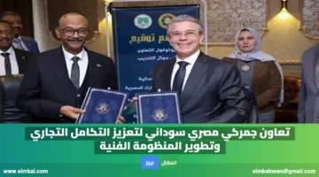 تعاون جمركي مصري سوداني لتعزيز التكامل التجاري وتطوير المنظومة الفنية