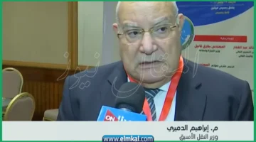سبب وفاة إبراهيم الدميري