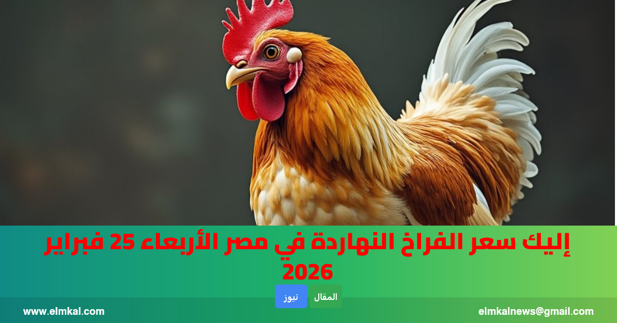 بكام سعر كيلو الفراخ, وكم سعر كرتونة البيض: إليك سعر الفراخ النهاردة في مصر الاربعاء 25 فبراير 2026