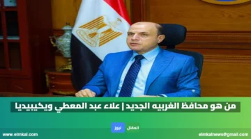 علاء عبد المعطي ويكيبيديا
