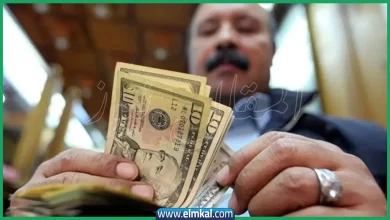 بصافي 1.9 مليار دولار: استثمارات عربية قوية في أدوات الدين الحكومية المصرية 2 دولار