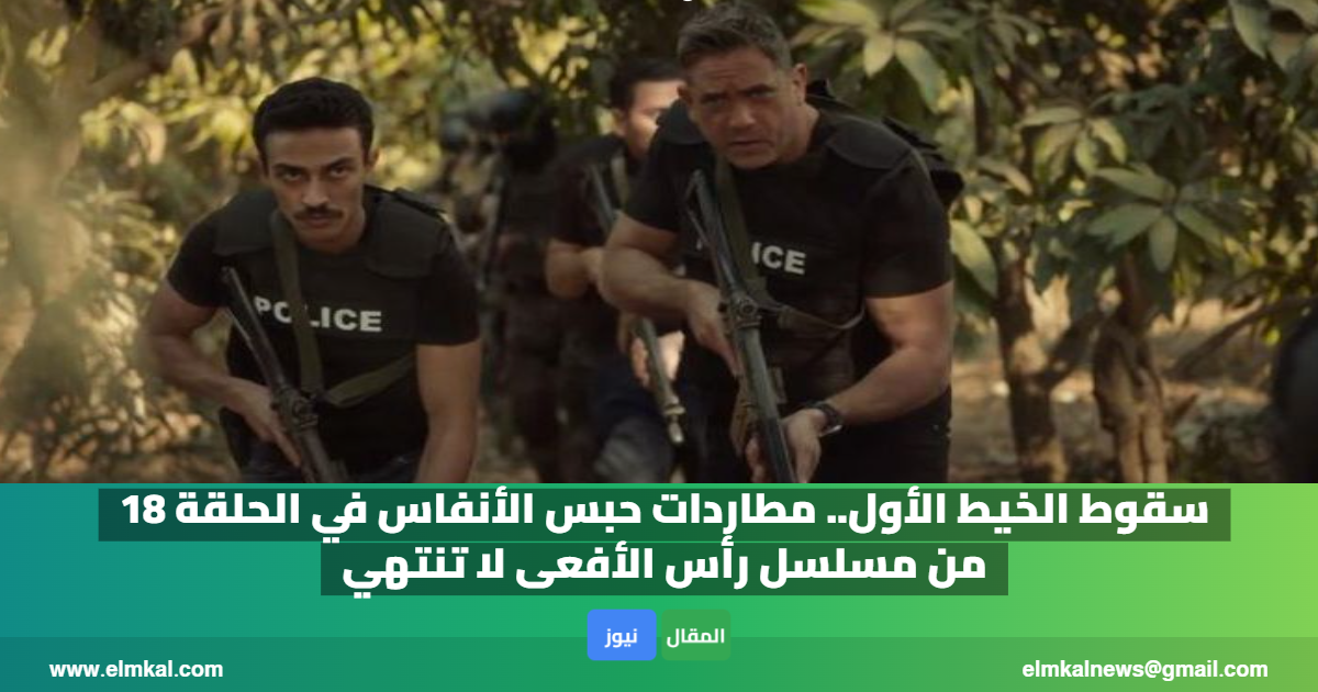 سقوط الخيط الأول.. مطاردات حبس الأنفاس في الحلقة 18 من مسلسل رأس الأفعى لا تنتهي