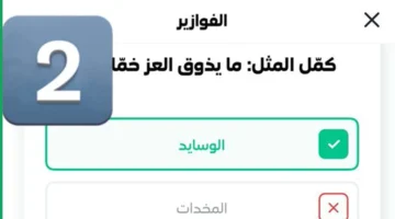 مايذوق العز خمام الوسايد