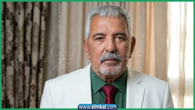 من هو صلاح الدين السالمي السيرة الذاتية ويكيبيديا