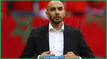 وليد الركراكي