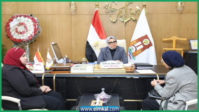 الوادي الجديد