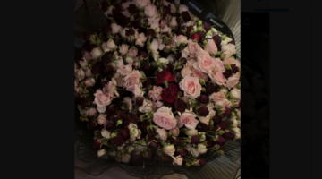 Screenshot 2026 05 03 at 11 37 07 1 X وجدان العطاوي البحث